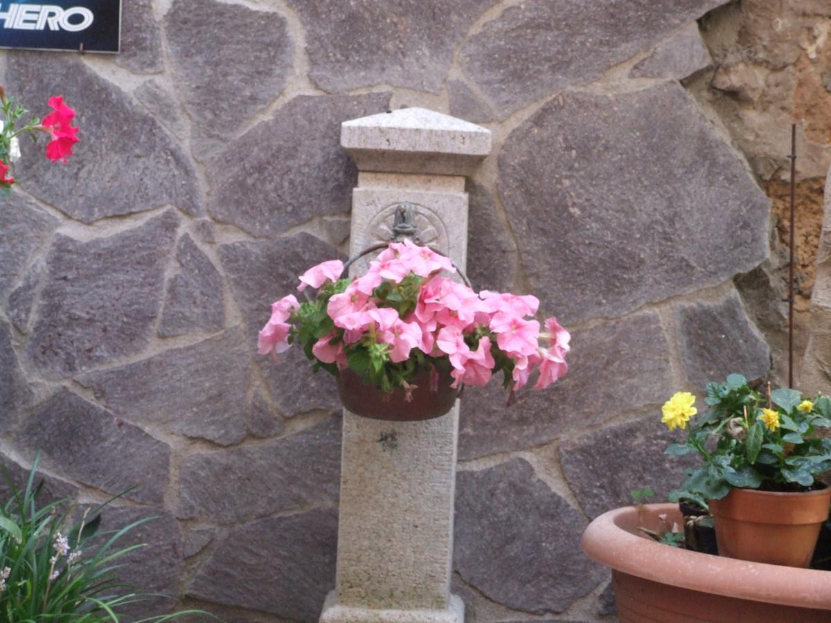 Il Giardino Degli Iris Couette-café Alghero